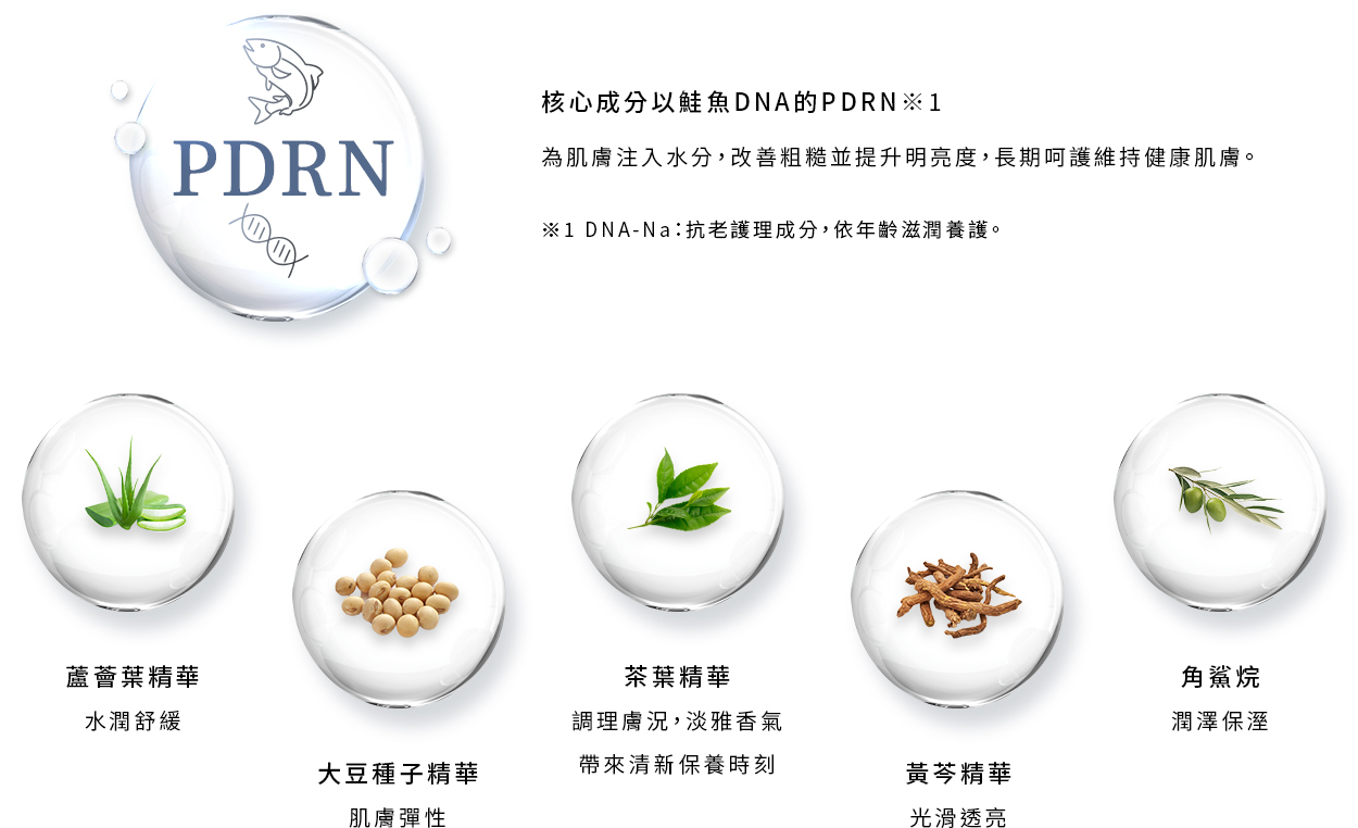 ekam 伊肯 進階全效凝露 成分介紹圖